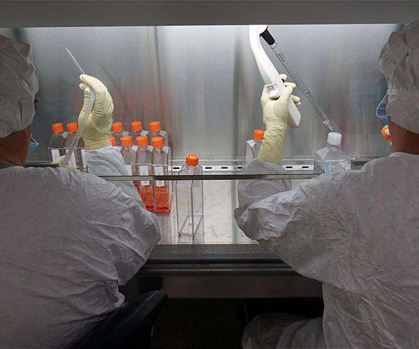 Zika virus could help combat brain cancer