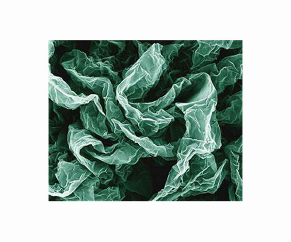 Exploring the structure and properties of new graphene-like polymers