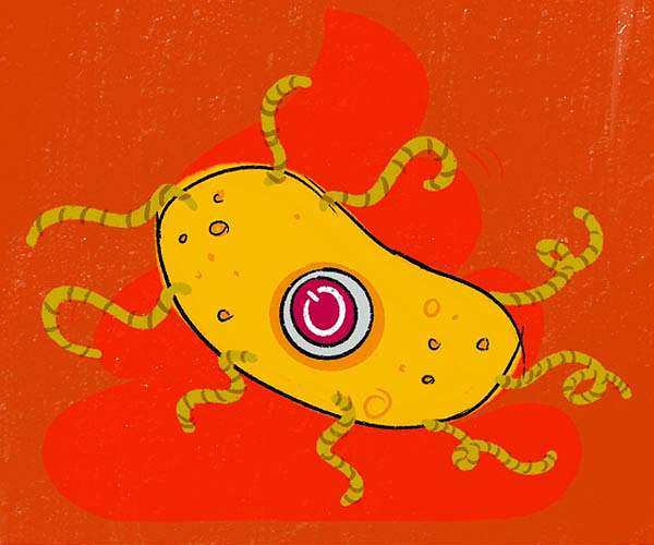 A targeted, reliable, long-lasting kill switch for genetically engineered microbe