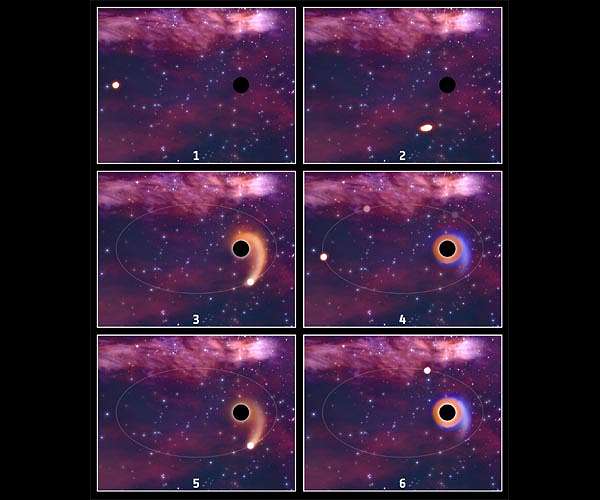 XMM-Newton spies black holes eating the same stars again and again
