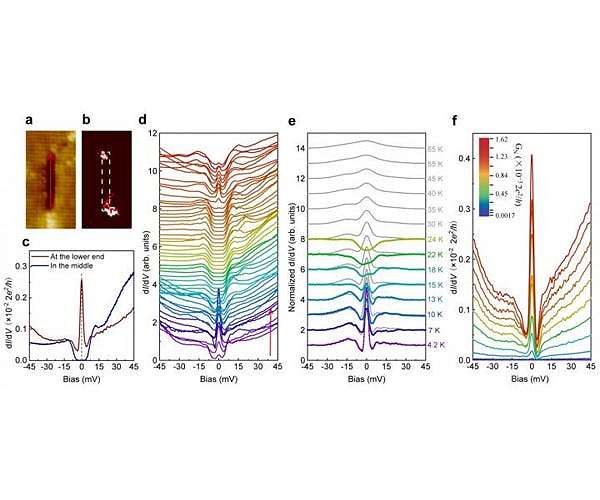 Discovery of zero-energy bound states at both ends of a one-dimensional atomic line defect