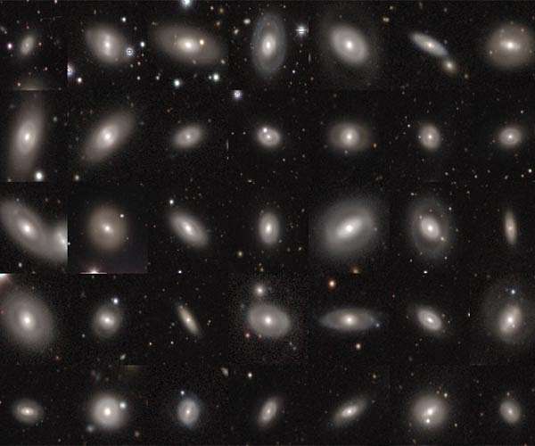 Cyborg collaboration finds 40,000 ring galaxies