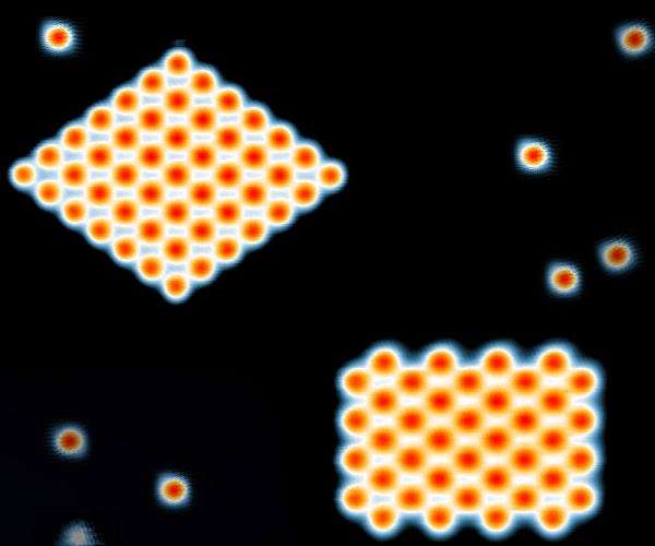 MIT physicists snap the first images of "free-range" atoms