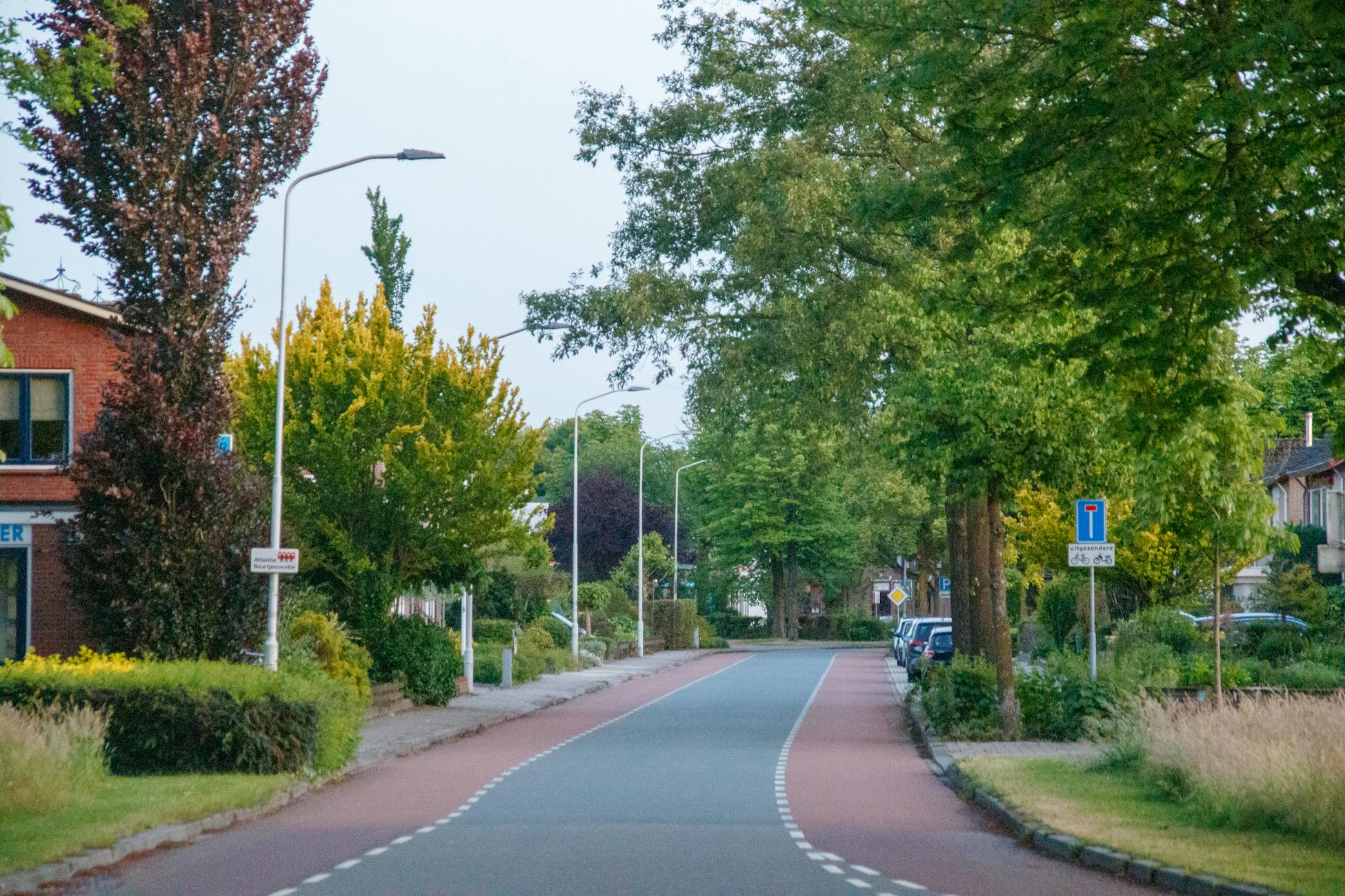 Peaceful residential neighborhood street with greenery and parked cars on a summer day.
