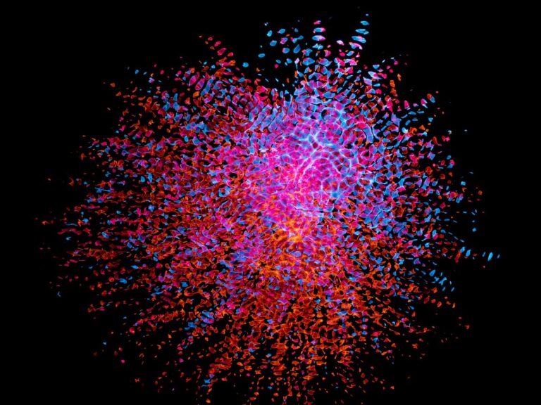 The Cosmic Exiles: Why the Universe's Brightest Flashes Erupt Far From Home