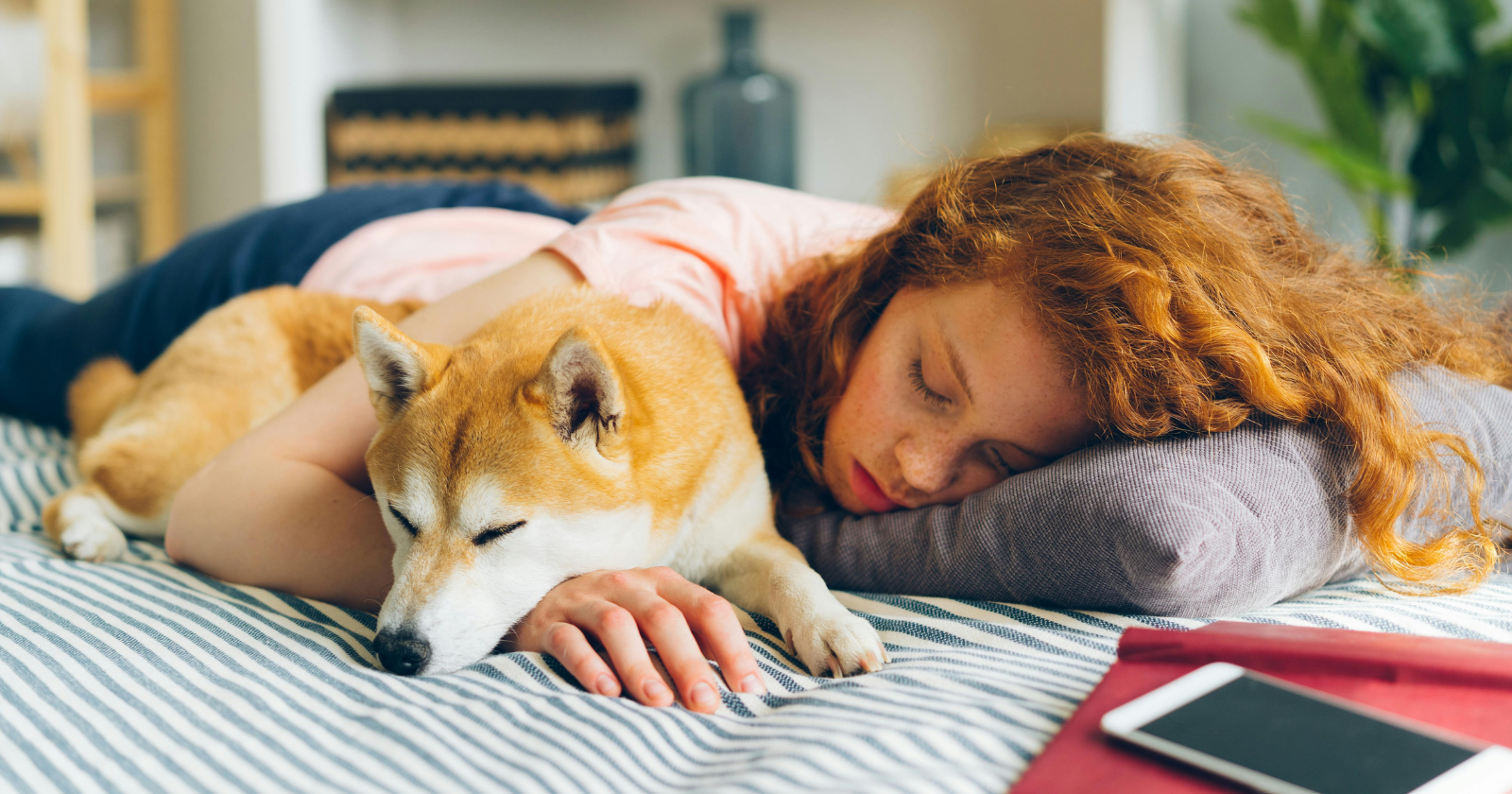 Psychology suggests people who sleep in the same bed as their pets often carry a quiet recognition most adults postpone — that the relationships that work most reliably don't require us to be anyone other than who we are, and an animal who asks for nothing more is the most consistent reminder of that