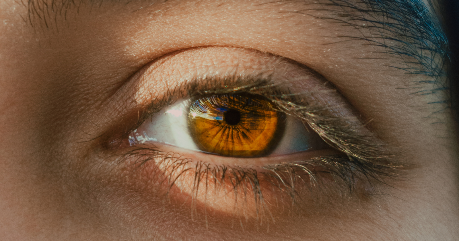 The human eye has a small blind spot where the optic nerve connects to the retina, and the only reason you don't constantly see a hole in your visual field is that your brain is filling it in with educated guesses — meaning every moment of your visual experience is partly fabrication, and your conscious mind is the last to be informed.