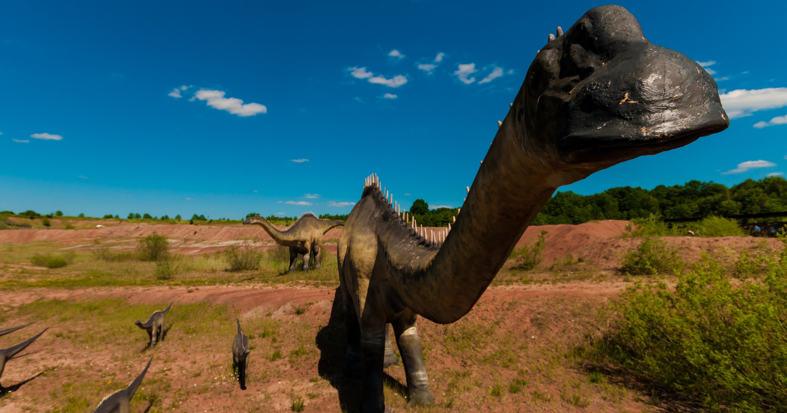 A few rocks spotted near a pond in northeastern Thailand in 2016 have just been confirmed as a 27-tonne, 27-metre sauropod — the largest dinosaur ever found in Southeast Asia