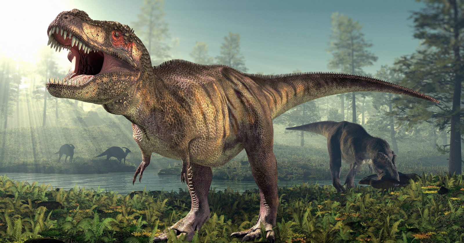 T. rex didn't evolve tiny arms because its body got bigger — it evolved tiny arms because its jaws got more powerful, according to a new study of 82 meat-eating dinosaur species that found the same pattern repeating across giant predators