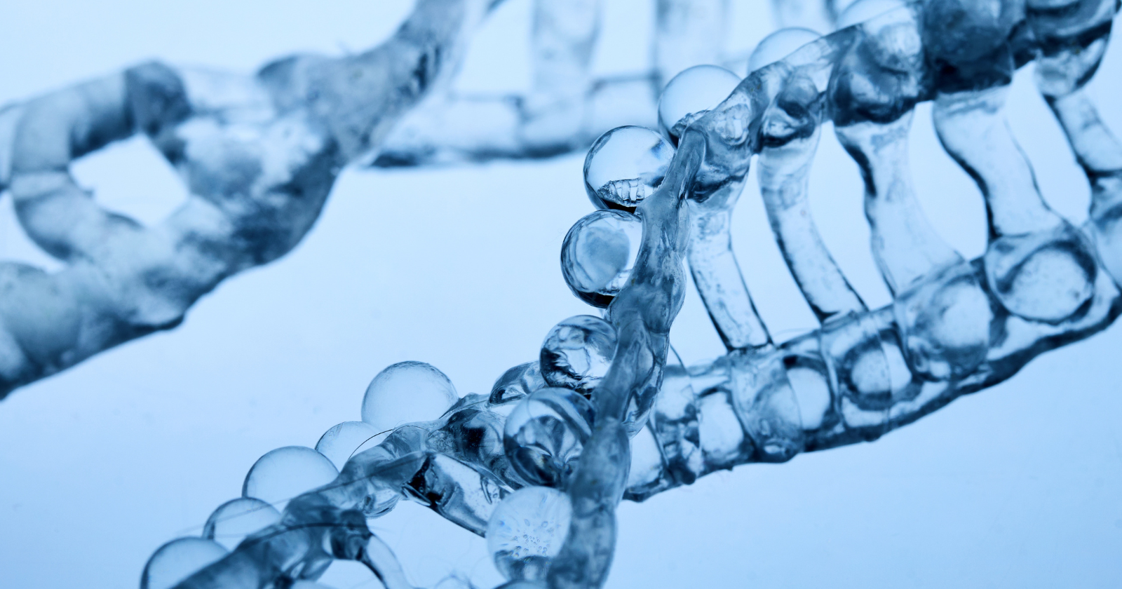 The Human Genome Project was declared complete in 2003 — but about 8% of human DNA was still missing, including some of the regions most critical to chromosome stability and immunity, and it took another nineteen years to finally read it all