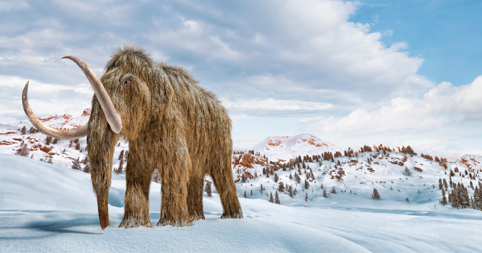 For 70 years, two large fossil bones sat in a University of Alaska museum drawer labeled as woolly mammoth — until radiocarbon dating, isotope analysis, and DNA testing revealed they came from two whales of two different species that somehow ended up 250 miles inland from the nearest coast, in a mystery the researchers say may never be fully solved