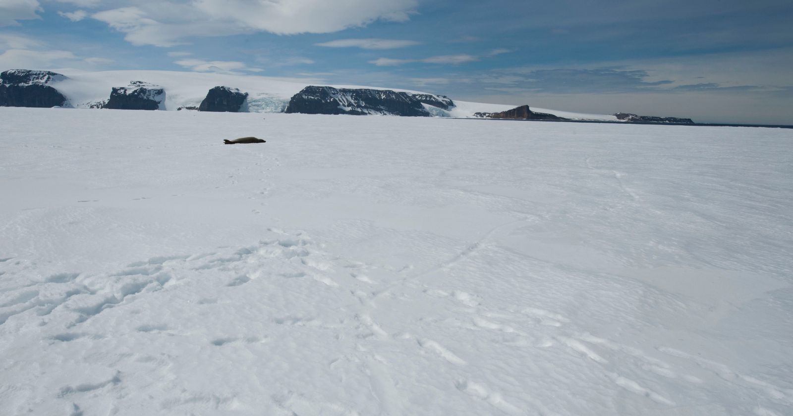 The Sahara is usually described as the world's largest desert, but because a desert is defined by rainfall rather than temperature, the entire continent of Antarctica is technically the largest desert on Earth, with parts of its interior having received no significant precipitation for nearly 14 million years