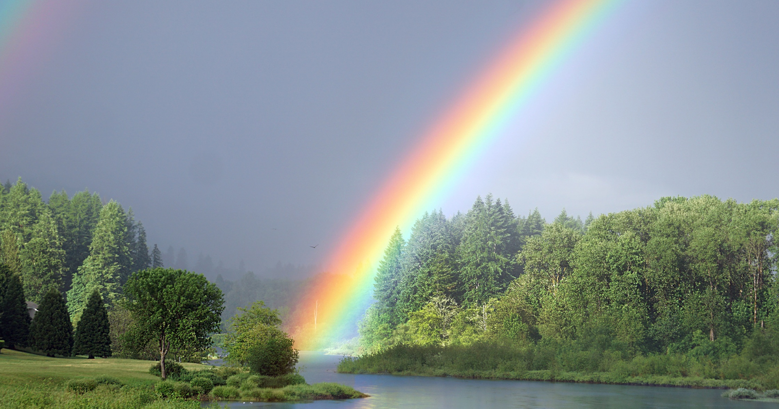 A rainbow is not actually located in any specific place in the sky — every person watching the same rainbow is seeing a slightly different one, formed by different raindrops, and if two people stood next to each other looking at the same rainbow, the rainbows they are seeing would be technically different, with no two viewers in the world ever sharing the exact same rainbow