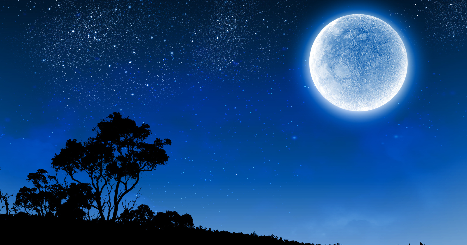 The Moon looks white in the night sky, but its surface is closer in color to a worn asphalt road — and it appears bright enough to read by on a clear night not because the surface is bright, but because the Moon is so close and fully sunlit that even a surface reflecting just 12 percent of incoming light becomes one of the brightest objects in the sky