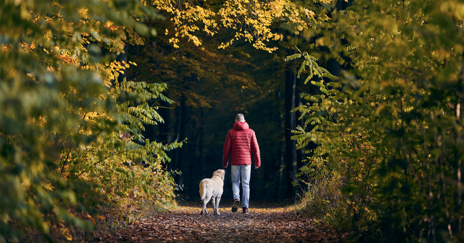 Psychology suggests spending just two hours in nature each week may improve health and wellbeing, even across shorter visits