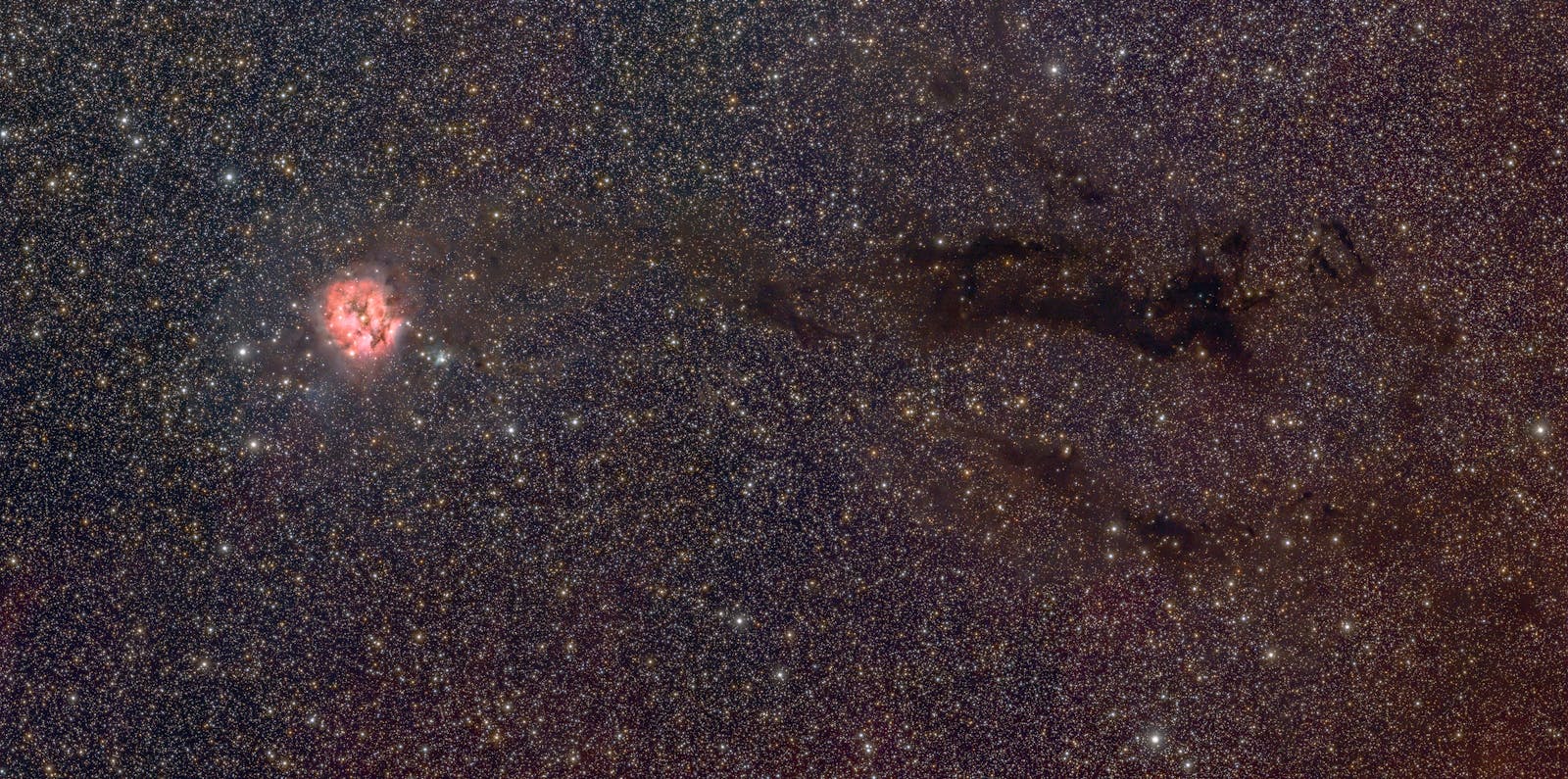 Cygnus X-1 black hole jets
