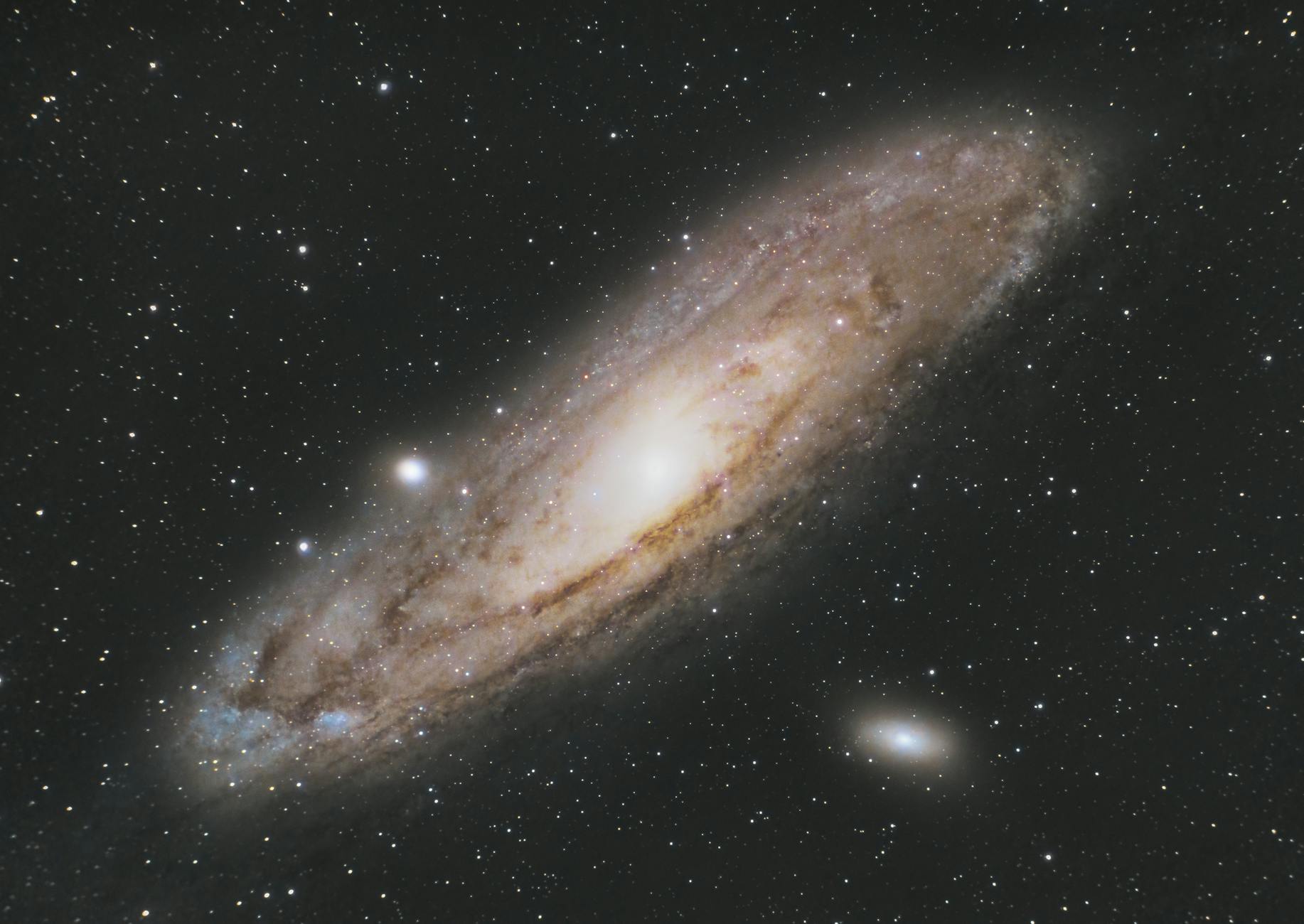 Astrophotography of the Andromeda Galaxy (Messier 31) in the star-filled night sky.