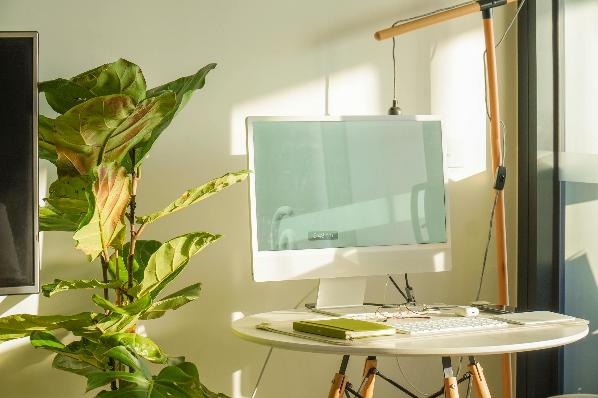 A sunlit modern workspace featuring a computer monitor, potted plant, and stylish desk.