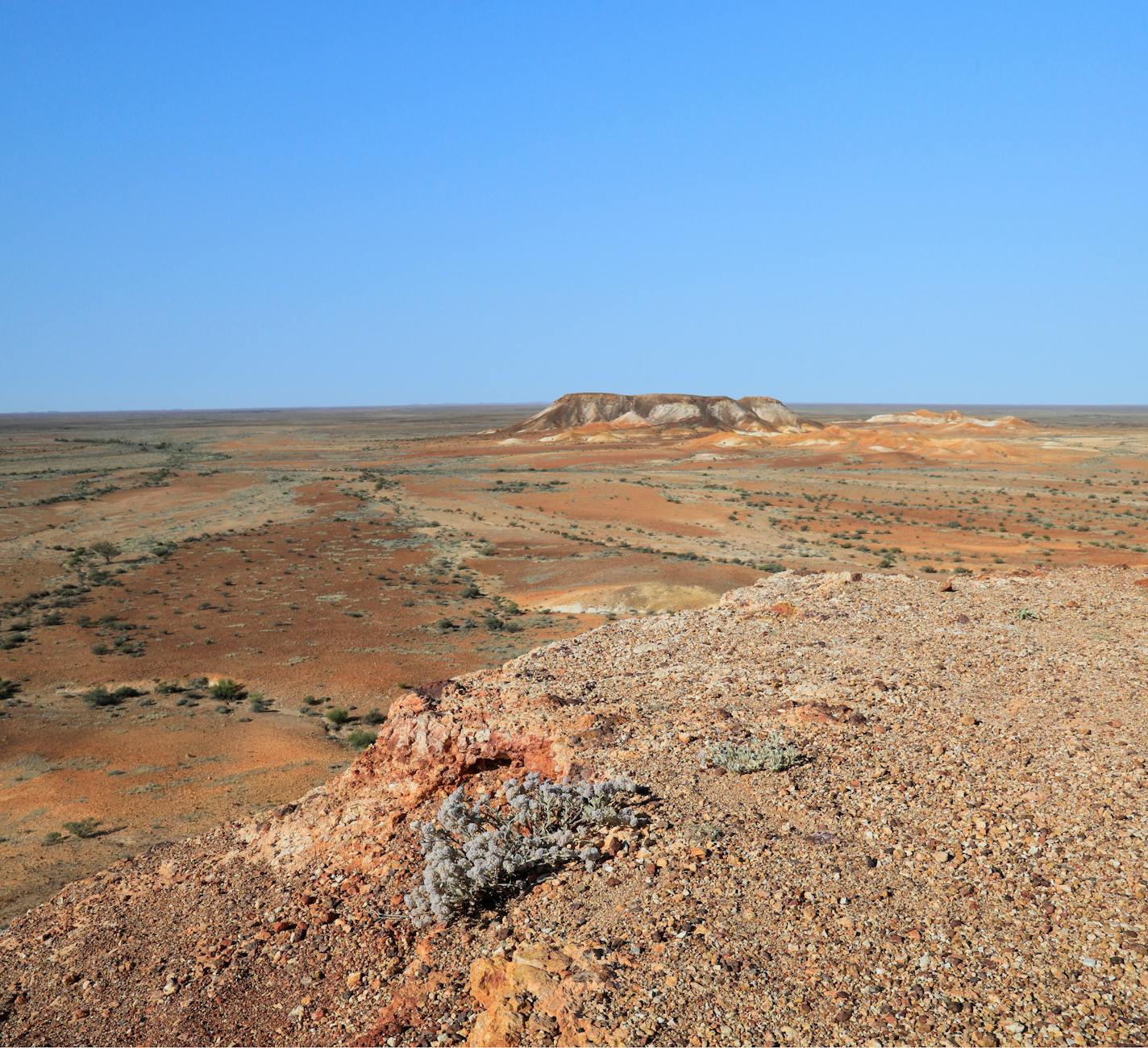 Expansive arid landscape in South Australia during the day under a clear blue sky.