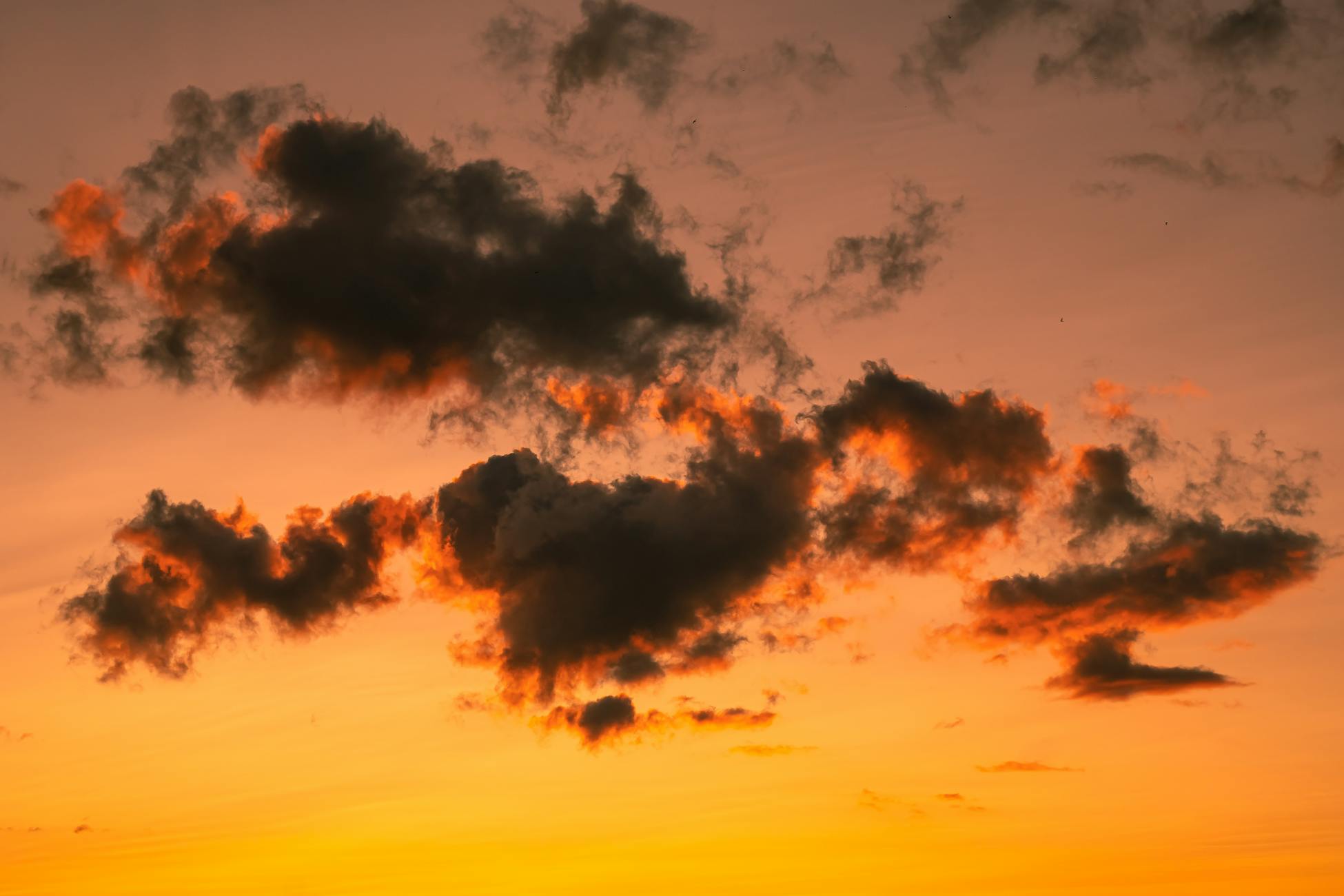 Beautiful clouds illuminated by a golden sunset sky, perfect for nature and tranquility themes.