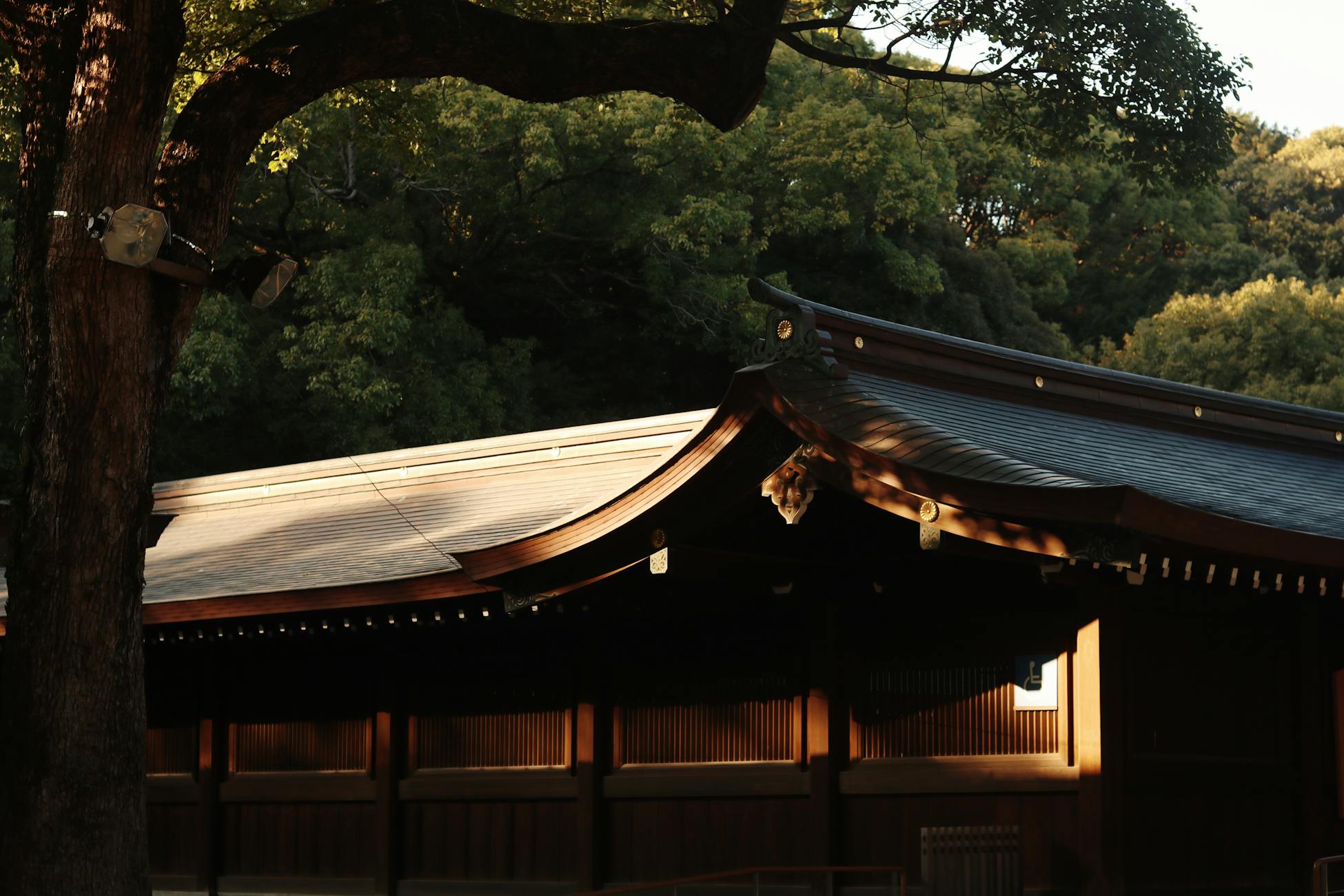 Serene Japanese temple with traditional wooden architecture at sunset, surrounded by lush greenery.