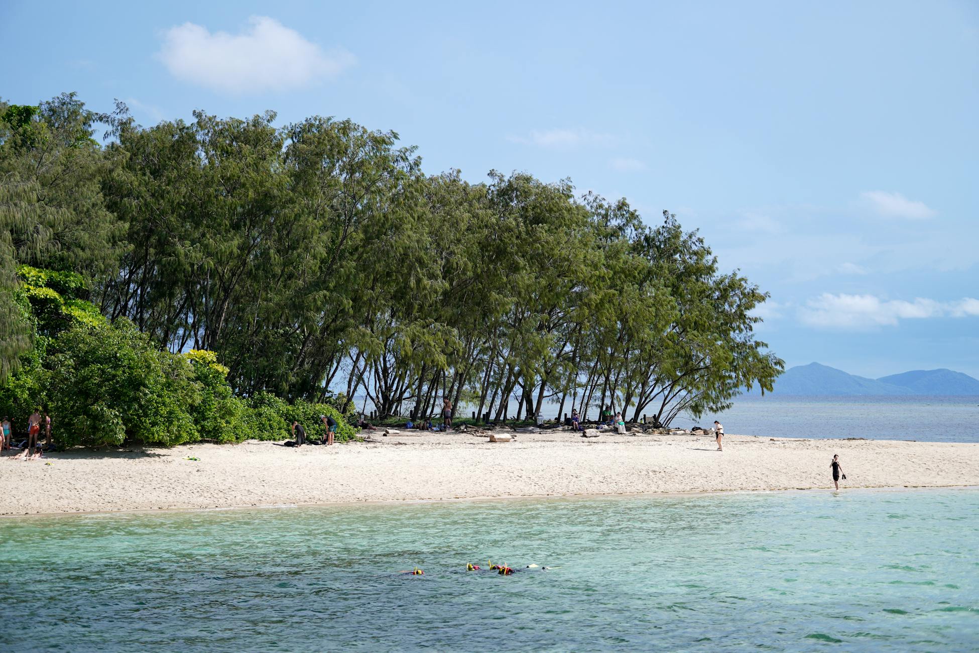 A serene beach scene with trees, turquoise water, and distant mountains, perfect for relaxation.