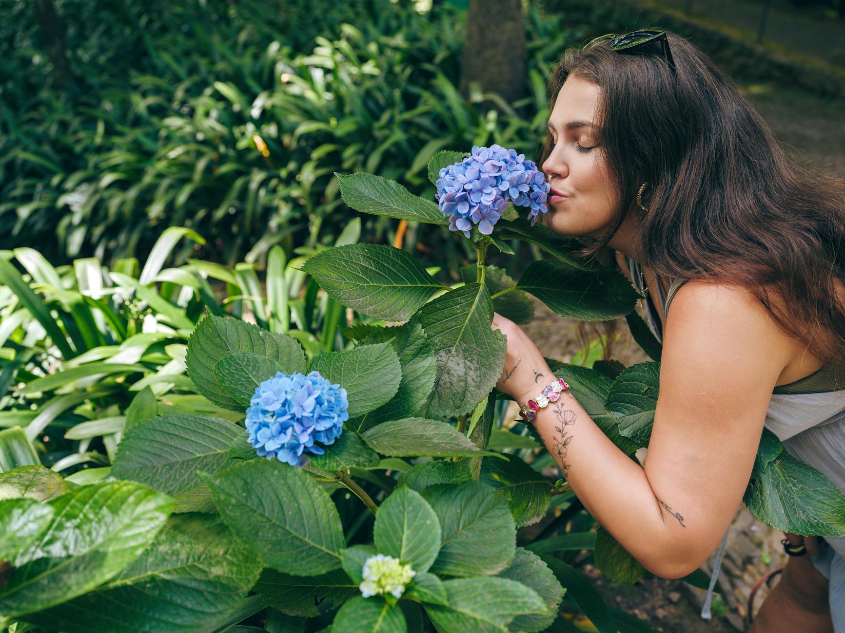 A woman smelling vibrant blue hydrangeas in a lush garden in Funchal, Madeira, Portugal.