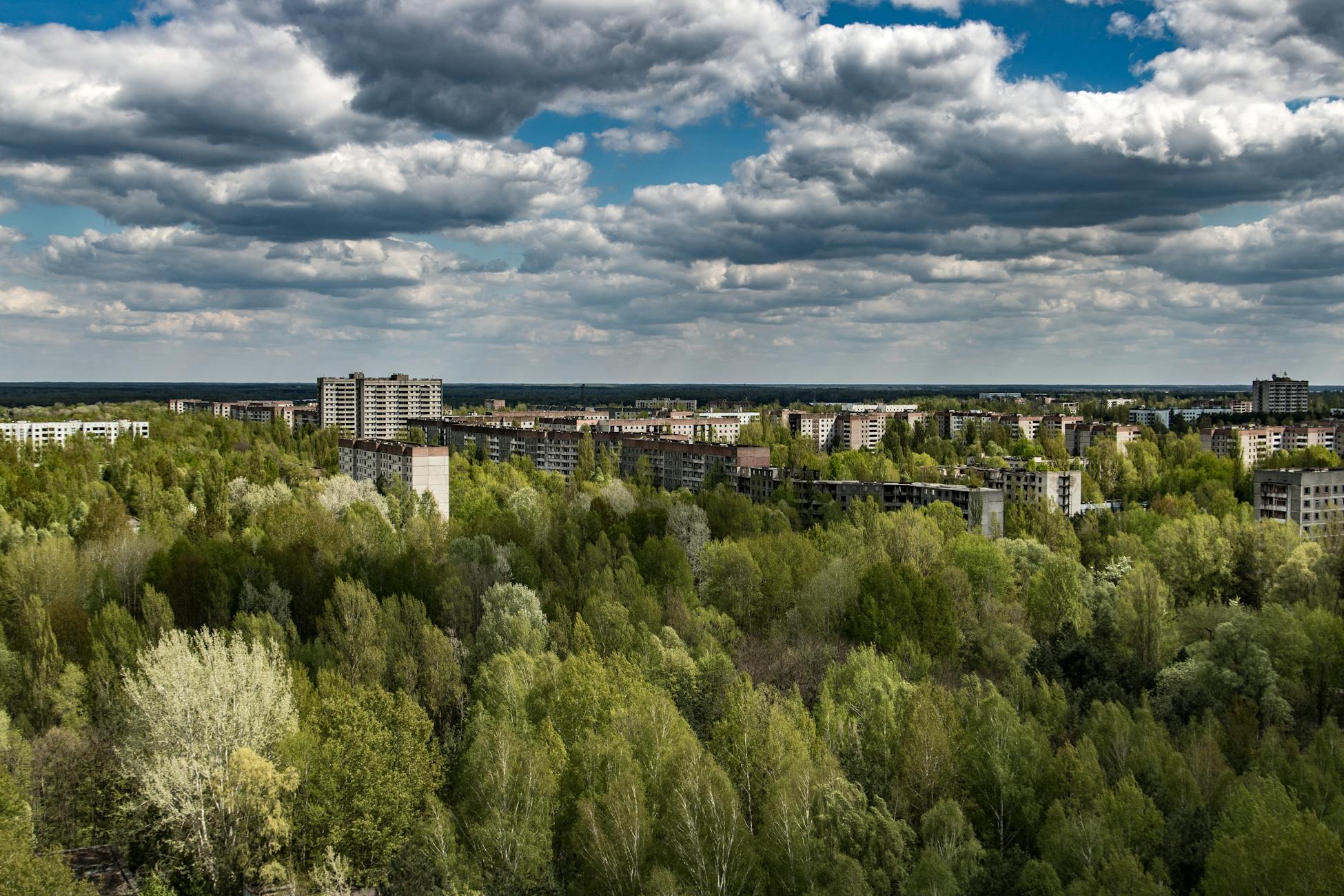 The Chernobyl exclusion zone is now one of the largest wildlife sanctuaries in Europe, revealing a grim paradox: removing humans from the landscape did far more for the animals than a nuclear disaster did to harm them