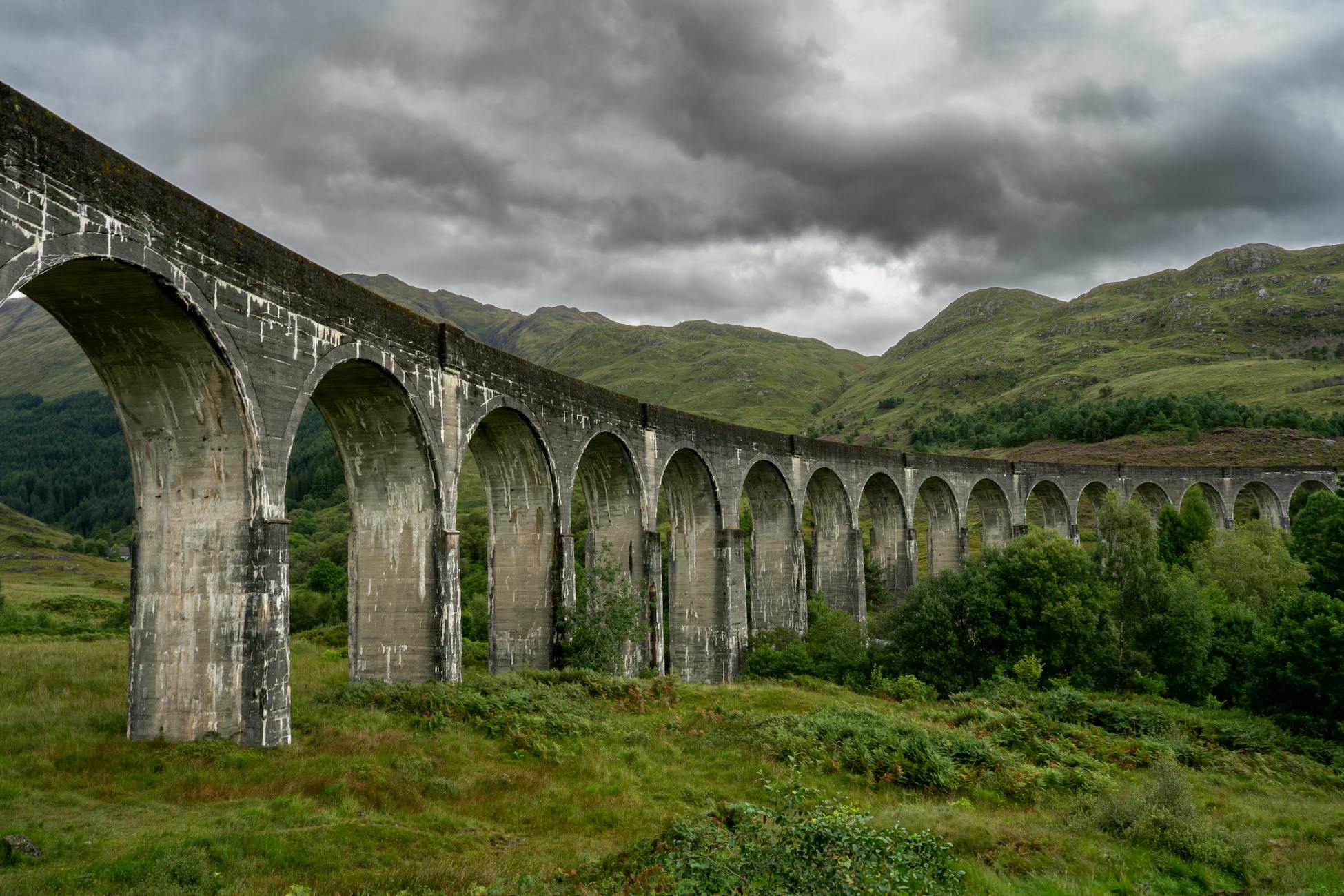 The Overtoun Bridge in Scotland has seen hundreds of dogs leap from the same parapet since the 1950s, often on clear days from the right side, and one behavioural investigation pointed to the scent of mink below