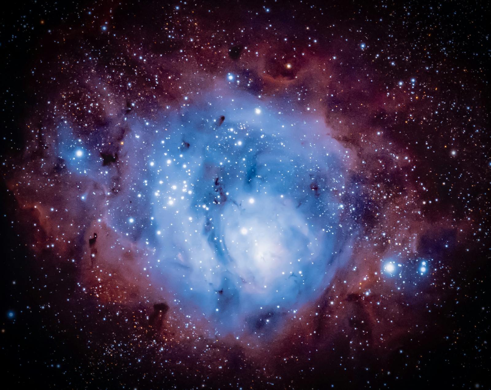 JWST early galaxy