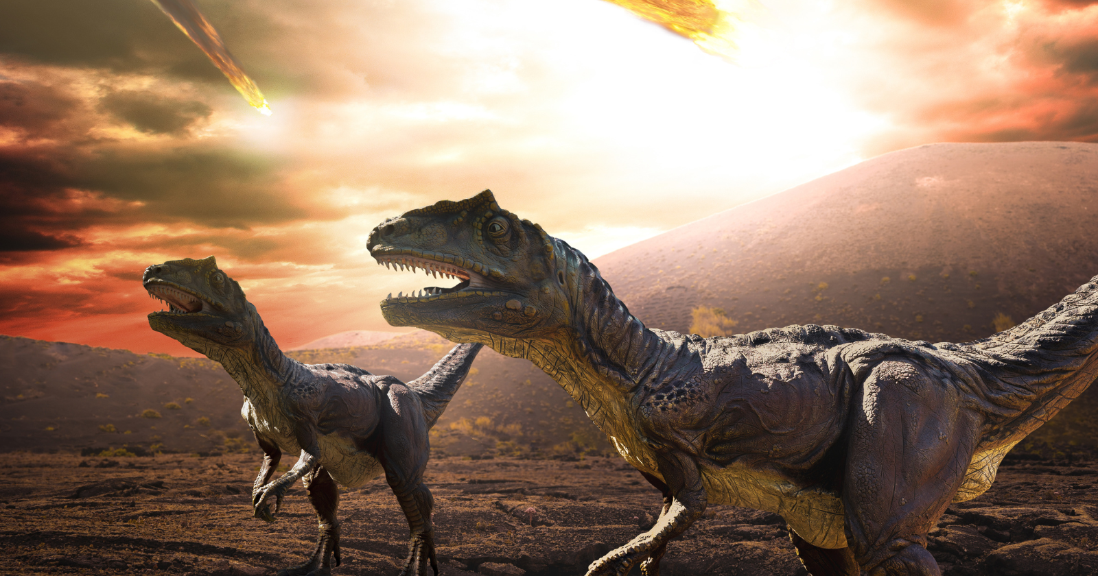 The asteroid that ended the dinosaurs struck what is now Mexico with such force that it blasted molten ejecta high above the atmosphere before it rained back down across the planet, and many of the survivors were small, sheltered creatures — including early mammals on the line that would eventually lead to us.