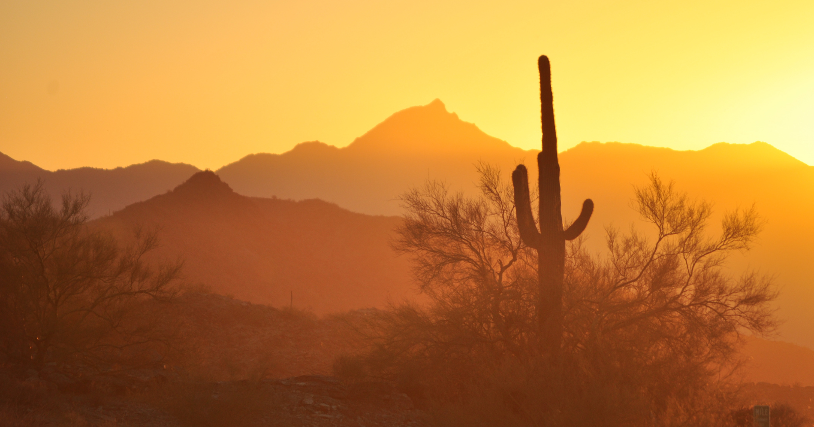 In 1991, eight people sealed themselves inside a glass world in the Arizona desert for two years, and the experiment nearly unravelled when the oxygen began disappearing from the air they were breathing