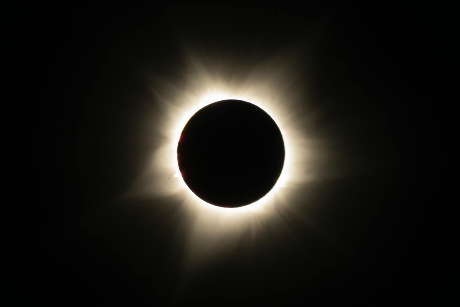 Parker Solar Probe corona