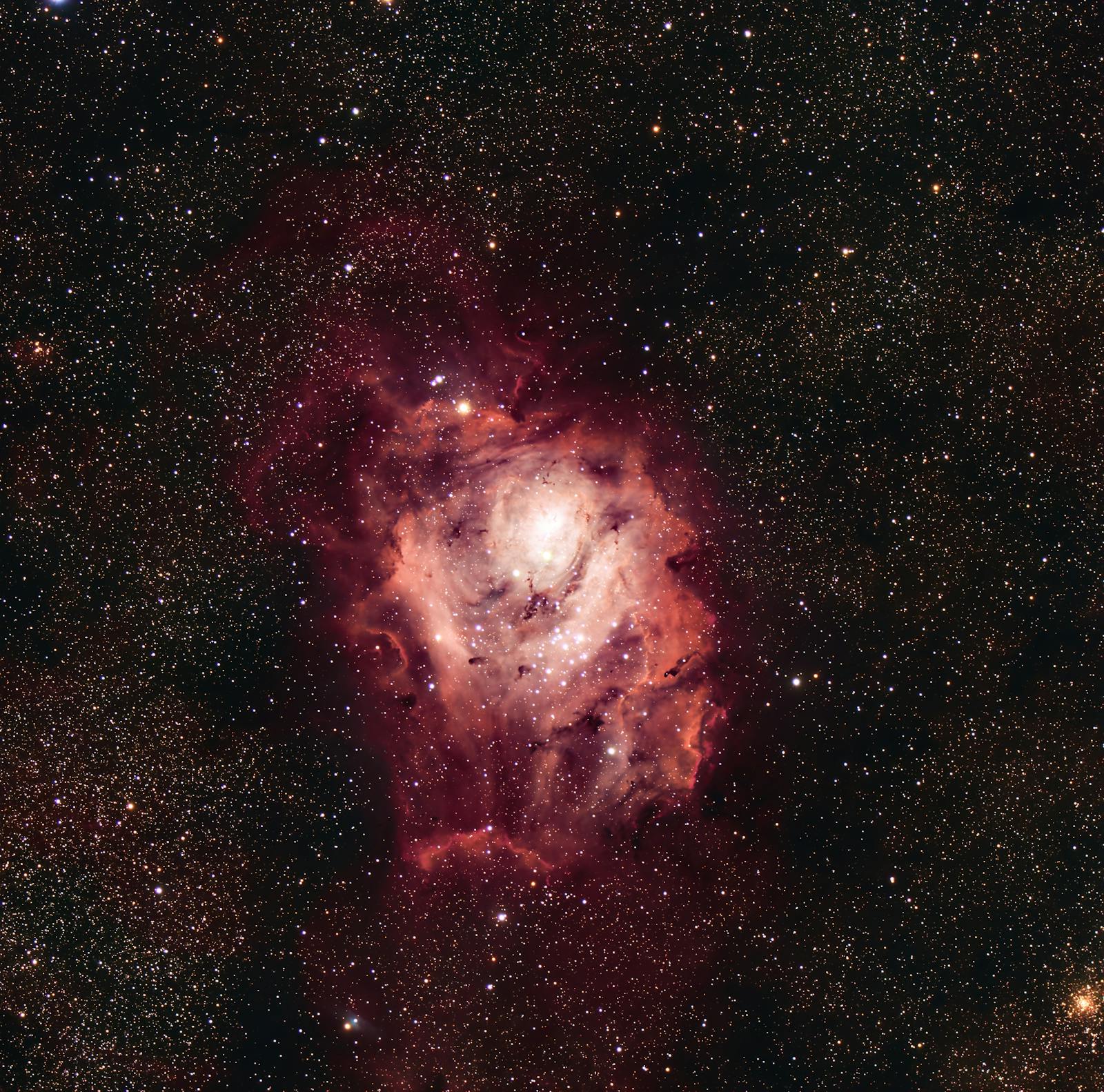 supernova core collapse