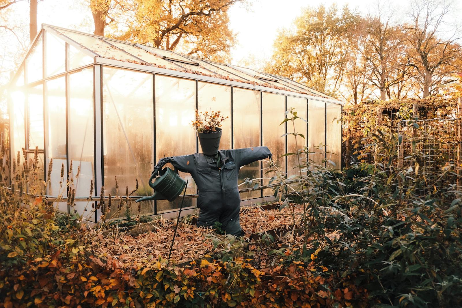 woman garden afternoon light