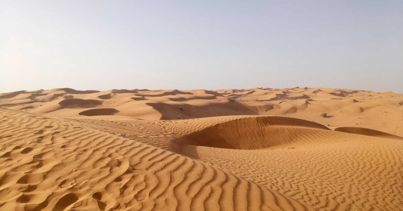 Saudi Arabia imports sand — despite being a country dominated by desert, the sand of the Arabian Peninsula is too smooth and round for use in construction concrete, because thousands of years of wind erosion have polished the grains to a shape that does not bond well with cement, and most construction sand must be imported from countries like Australia