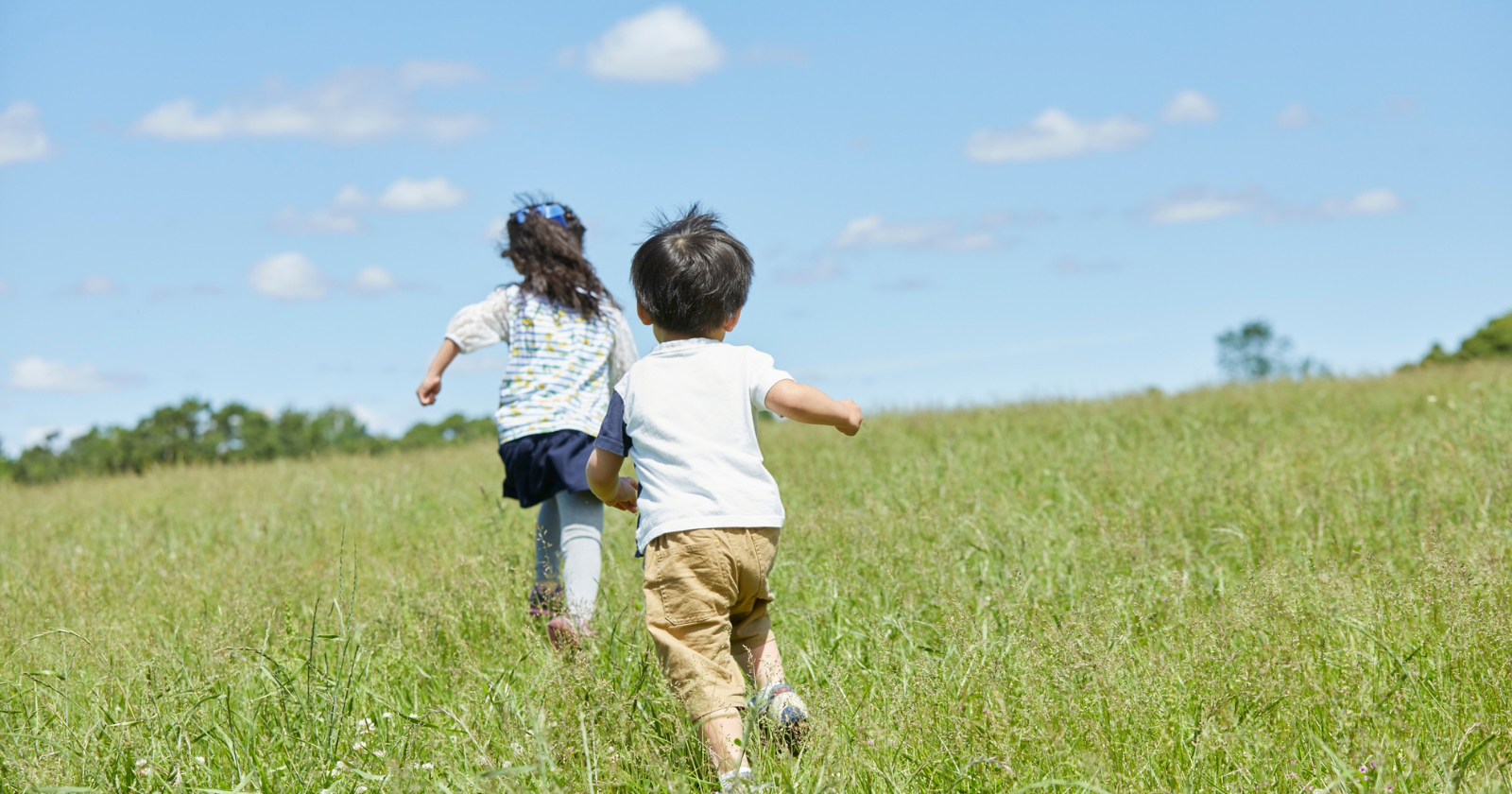 In 1972, New Zealand researchers began following more than a thousand babies born in a single coastal city, intending to study how childhood shapes adult life — and more than five decades later, the single childhood trait that most consistently predicts adult health, wealth, and happiness is not intelligence or family income, but something much harder to teach