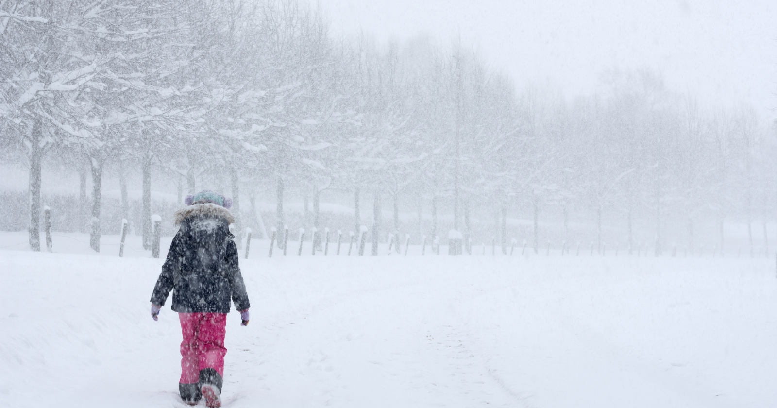The coldest capital city in the world is not in Russia, Scandinavia, or Canada — it's Ulaanbaatar, Mongolia, which has an annual average temperature of -1.3°C (29.7°F), the only national capital with a sub-zero annual average, and where January nighttime temperatures regularly drop to -35°C (-31°F), making it colder than Moscow, Reykjavík, Astana, and Ottawa combined