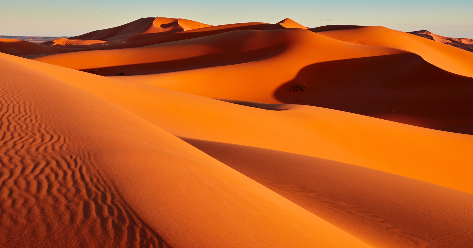 The Sahara Desert was a green savanna with rivers, hippos, and giraffes as recently as 6,000 years ago — and within roughly a century, the entire region collapsed into the arid desert we know today, in a climate transition so abrupt that the cave paintings made by people who lived through it survived on rock walls long after the lakes they painted had vanished