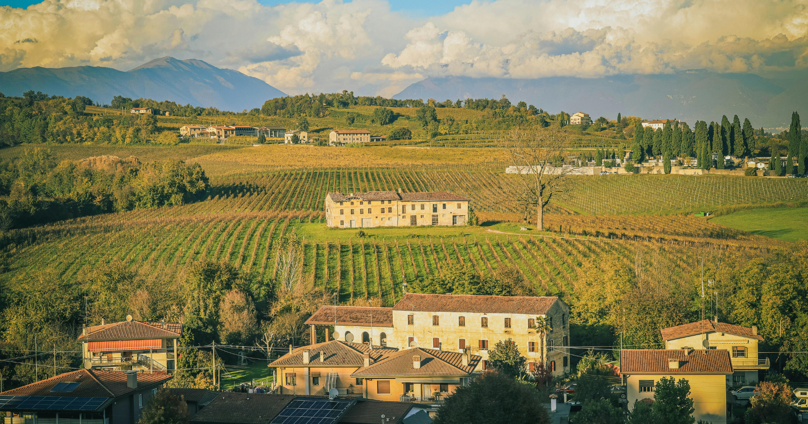Italy is now losing population so rapidly that by 2050 it is projected to have nearly 5 million fewer residents than today — with a fertility rate that has just hit 1.14 children per woman in 2025, and the lowest annual number of births since the country's unification in 1861 — and entire villages in southern Italy have begun selling off houses for one euro to anyone willing to move in and stay
