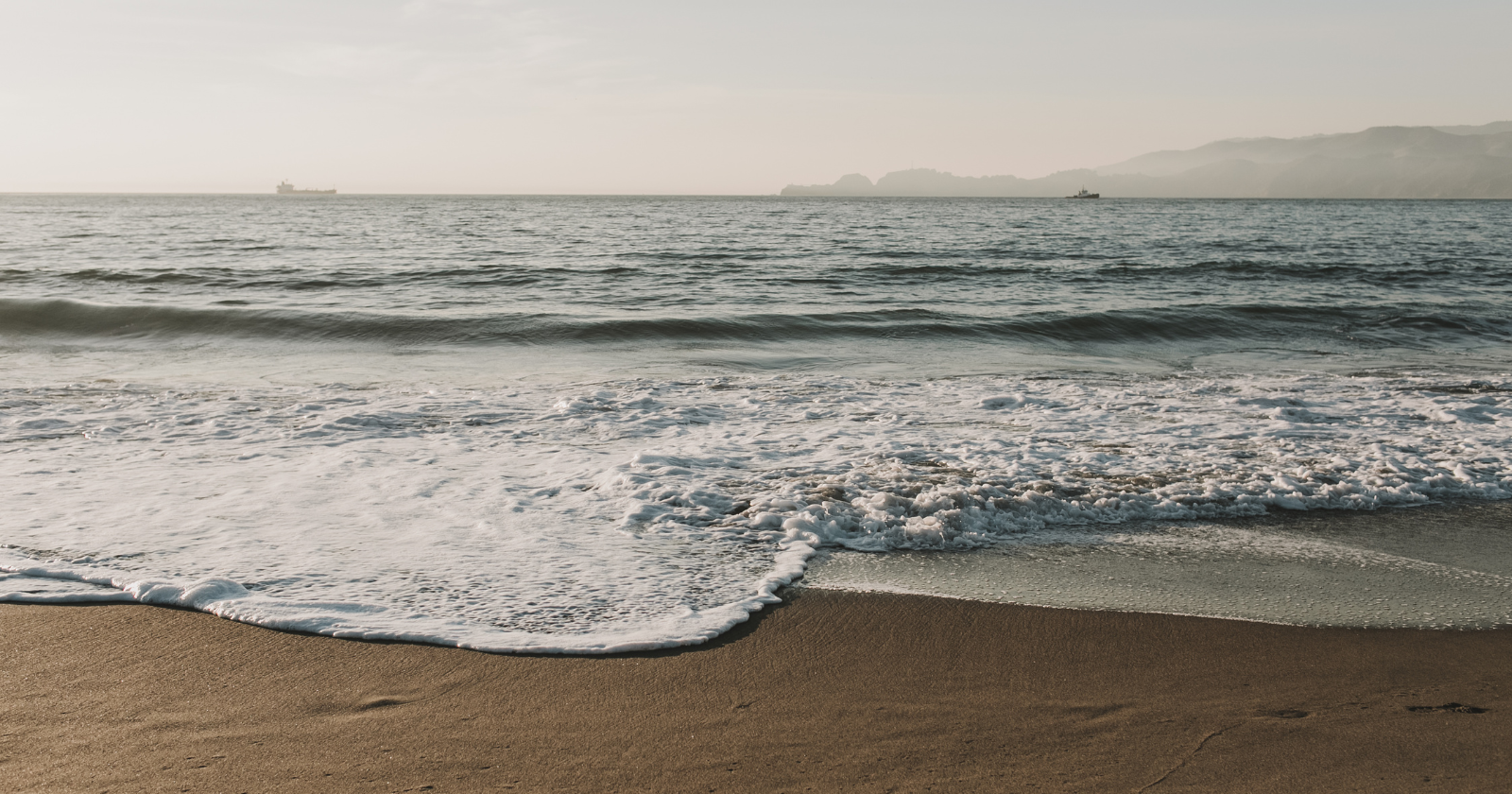 A small wave breaking on a beach contains more living organisms than the total number of humans who have ever existed on Earth — roughly 10 million bacteria, viruses, and tiny plankton in every milliliter of seawater — meaning every wave that touches the shore carries a population of life that vastly outnumbers every person who has ever lived in the entire history of our species
