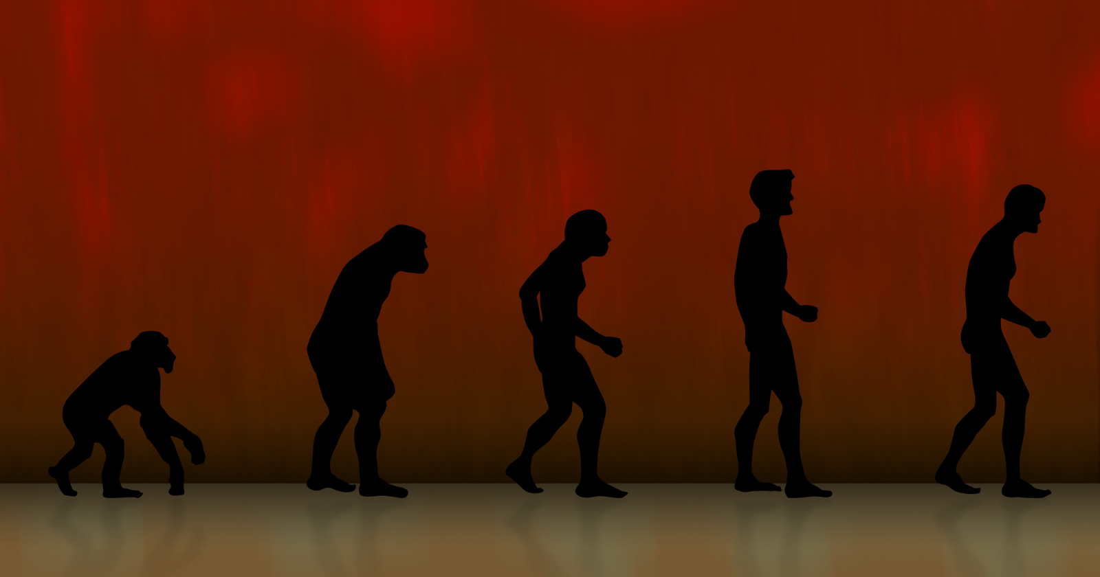 In the summer of 1858, a lesser-known 35-year-old naturalist named Alfred Russel Wallace mailed Charles Darwin a 20-page letter from the Indonesian jungle outlining the theory of evolution by natural selection — a theory Darwin had been quietly developing for 20 years without publishing — forcing Darwin to hastily share the credit with a man he had never met