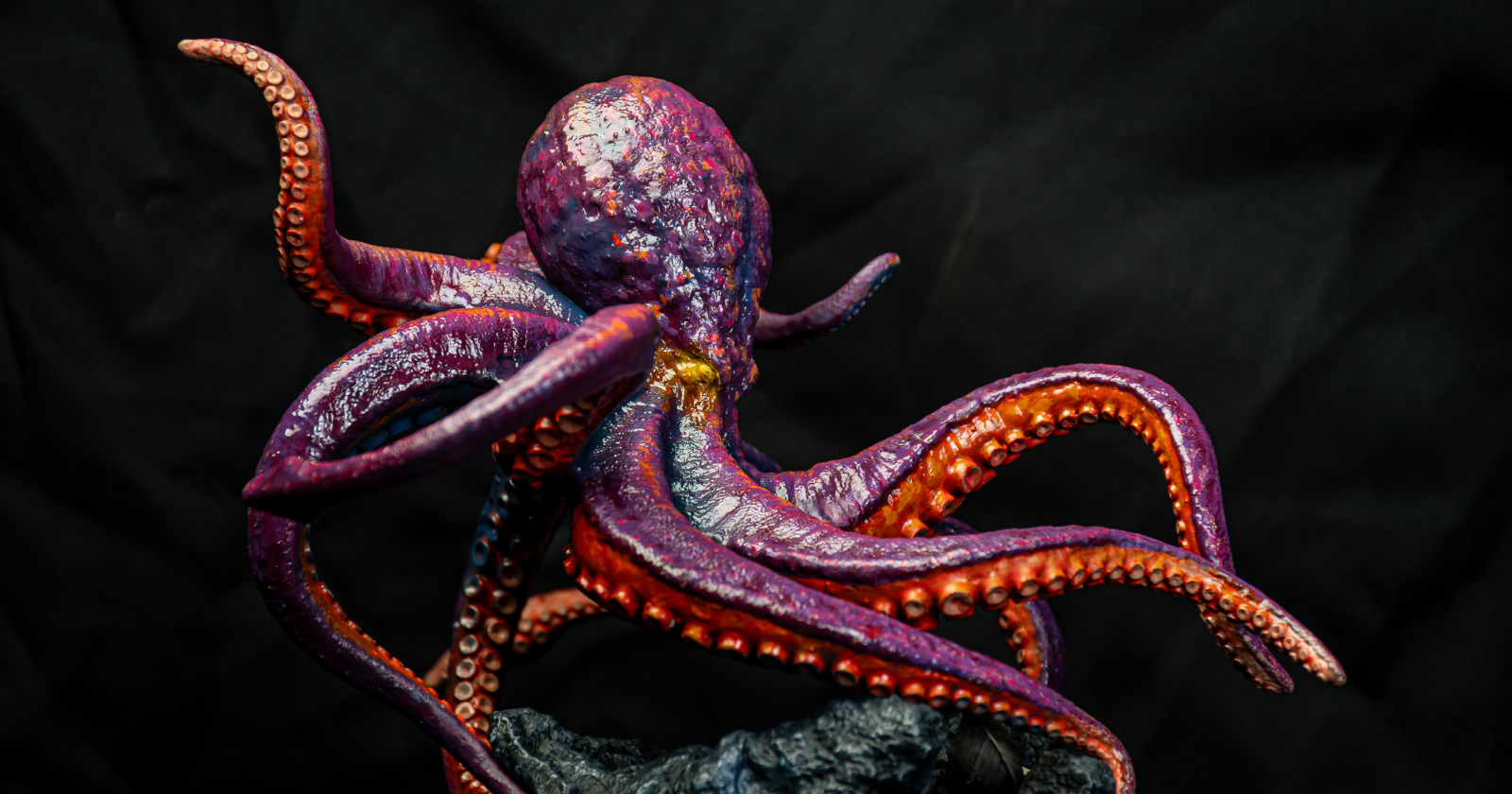For centuries, European sailors told stories of a sea monster called the kraken — a vast tentacled creature that dragged ships down into the deep — and although marine biologists confirmed in the 1850s that the kraken was a real animal they named the giant squid, no one managed to photograph a living one until two Japanese scientists succeeded in September 2004