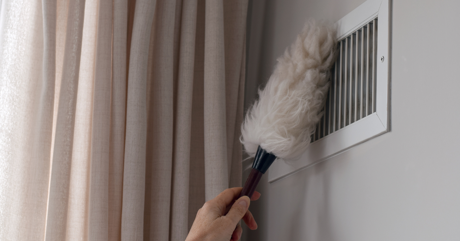 The dust in your home is not just dirt — it is a mixture of skin, fabric, pollen, soil, insects, microbes, smoke, and microscopic plastic, turning an ordinary windowsill into a quiet archive of what has entered the room