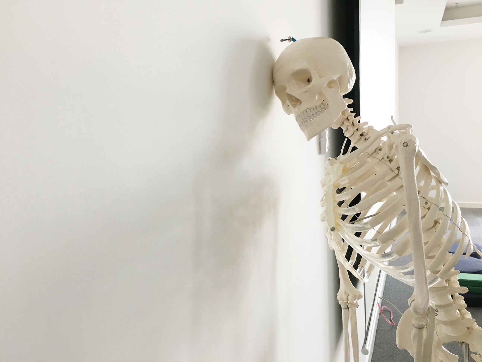 anatomy lab cadaver
