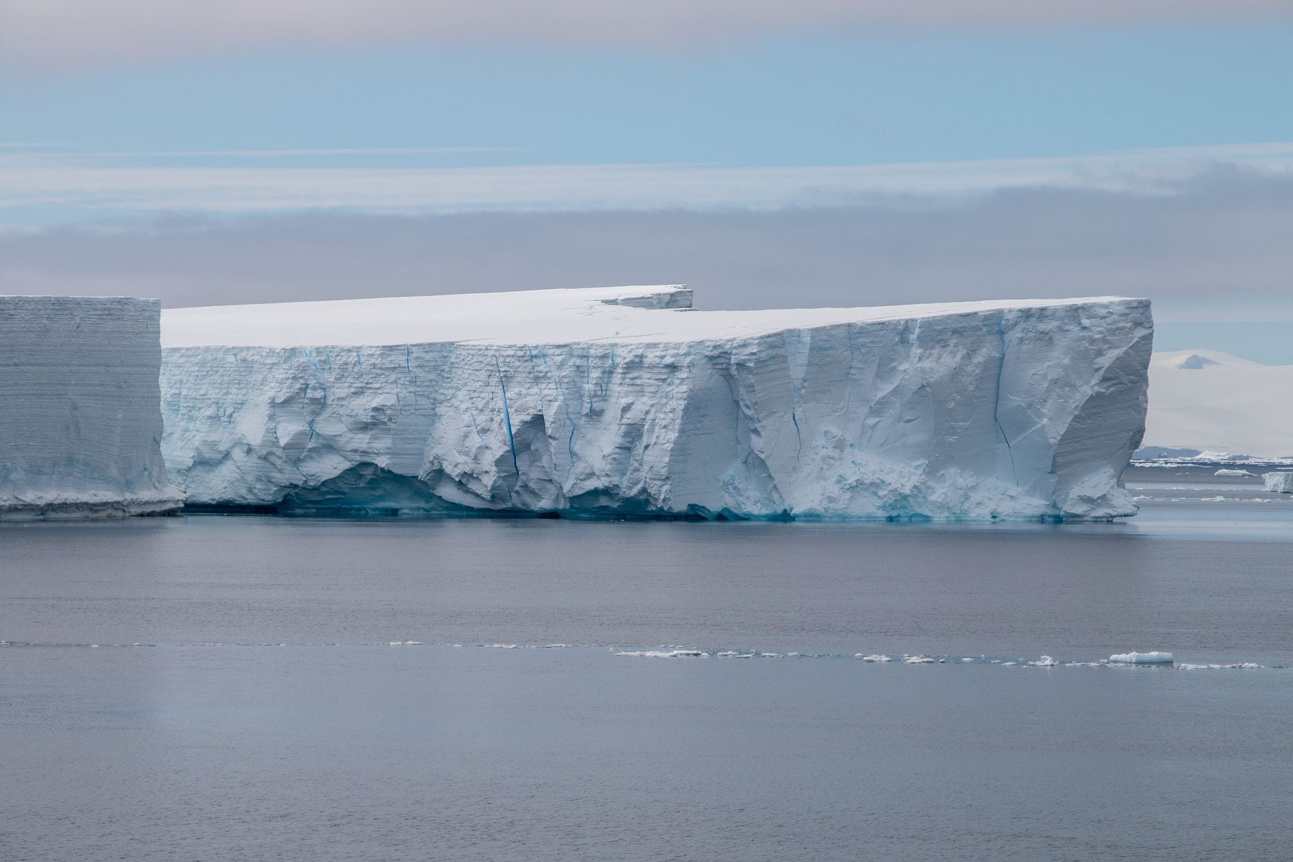 When an iceberg roughly the size of Chicago broke away from Antarctica’s George VI Ice Shelf in January 2025, researchers diverted their ship to the newly exposed seafloor — and found a hidden world of sponges, anemones, sea spiders and octopuses that may have been thriving in darkness for hundreds of years.