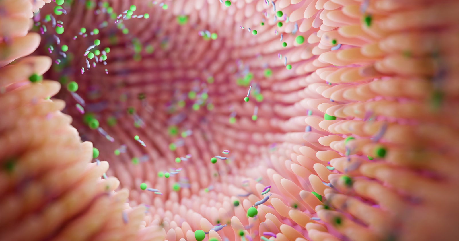 For decades, scientists repeated as established fact that bacteria in the human body outnumber human cells ten to one — a 2016 study by the Weizmann Institute of Science reviewed the original source and found the actual ratio is closer to 1:1, making the figure one of the most widely cited errors in modern biology