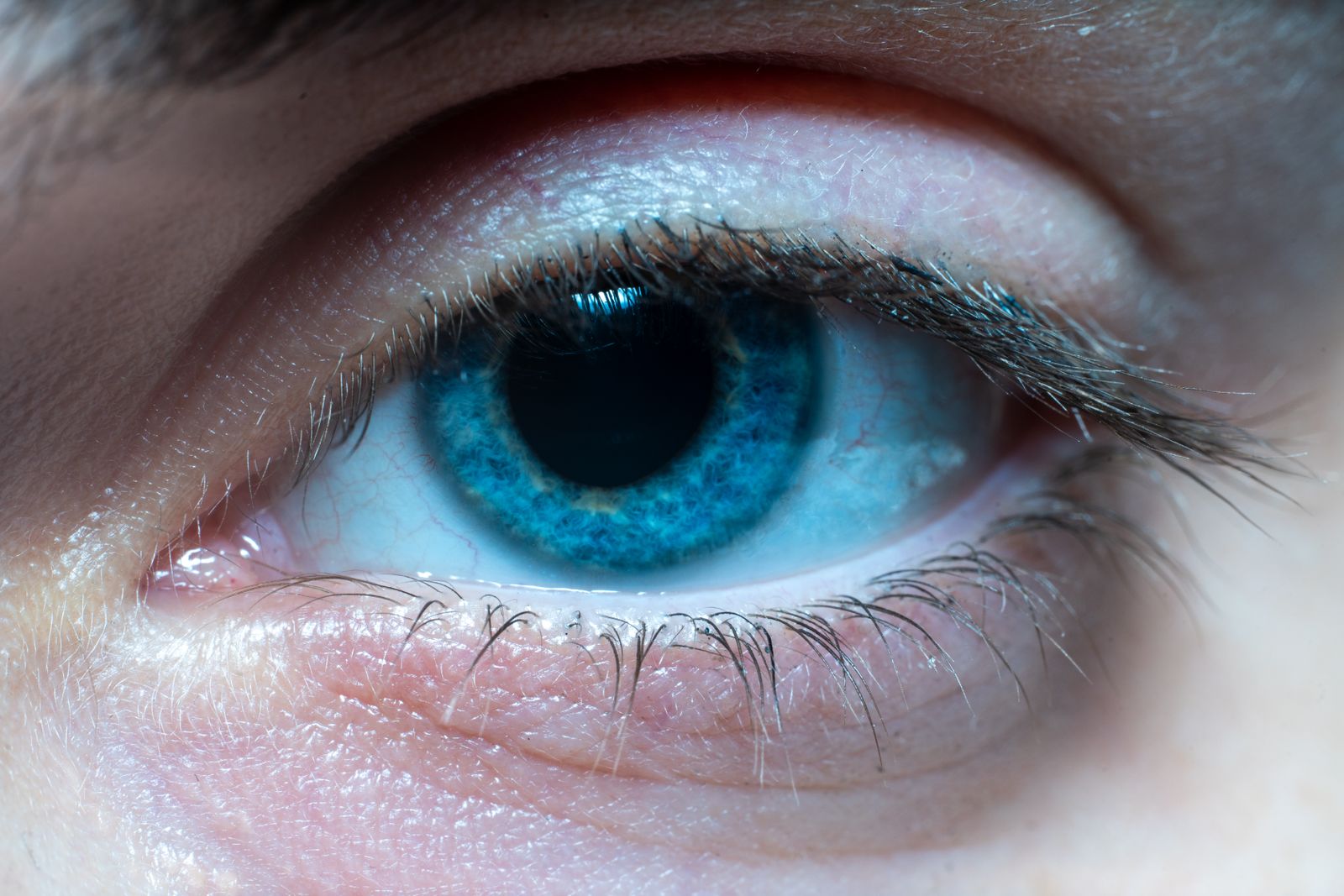 Everyone with ordinary inherited blue eyes appears to share a common ancestor, probably someone who lived around 6,000 to 10,000 years ago, when a tiny genetic switch near the OCA2 gene reduced brown pigment in the iris — meaning blue eyes, as we know them today, may trace back to one ancient mutation.