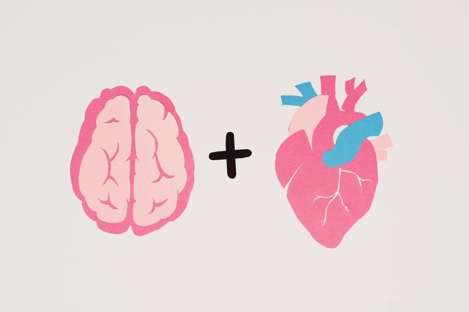 brain limbic system
