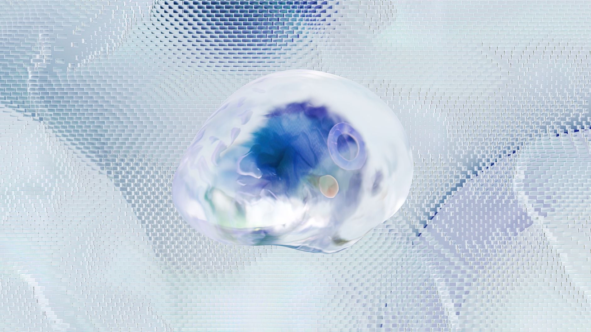 Neuroscientists long believed you are born with all the neurons you will ever have — in 2025, researchers found newly formed neurons in the brains of adults as old as 78, overturning decades of settled thinking